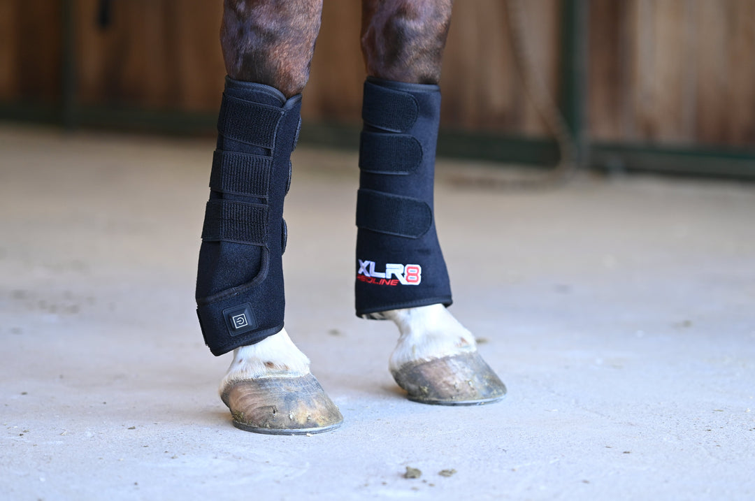 XLR8 Redline Tendon Wrap -Single XLR8 Equine