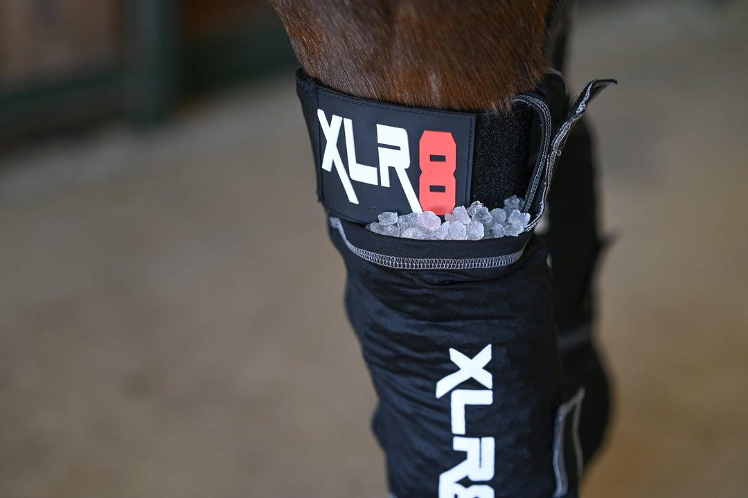 XLR8 Equine Cryo Boot : Ice Boots XLR8 Equine