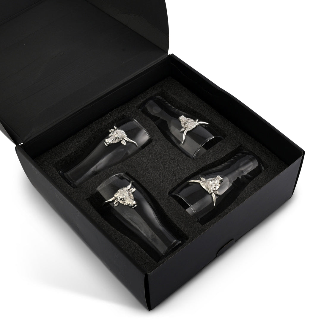 Longhorn Beer Pint Glasses - Set of 4