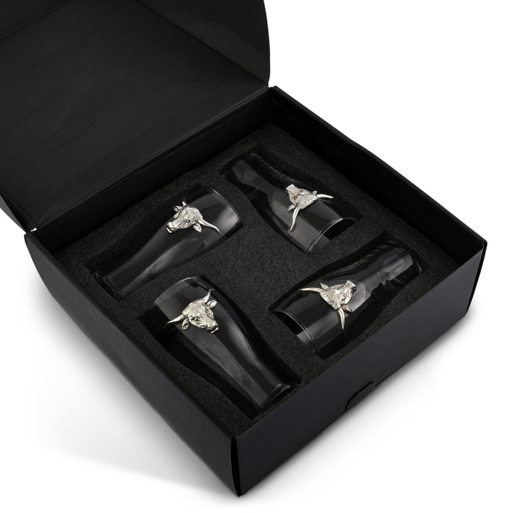 Longhorn Beer Pint Glasses - Set of 4