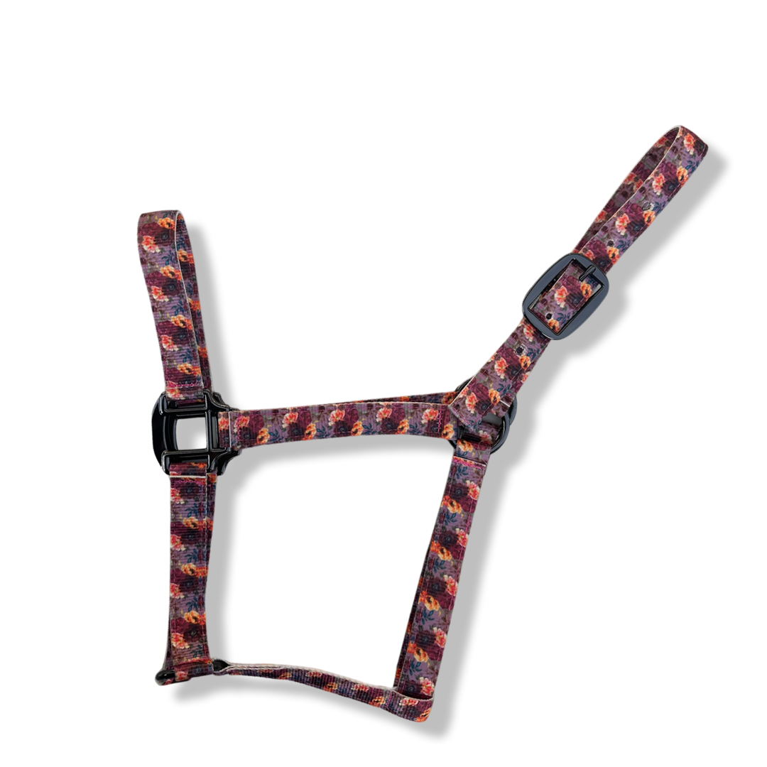 Howdy Nylon Horse Halter