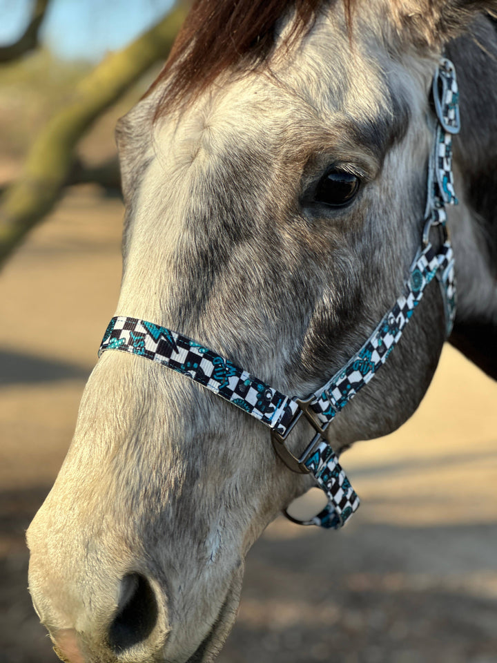 Howdy Nylon Horse Halter