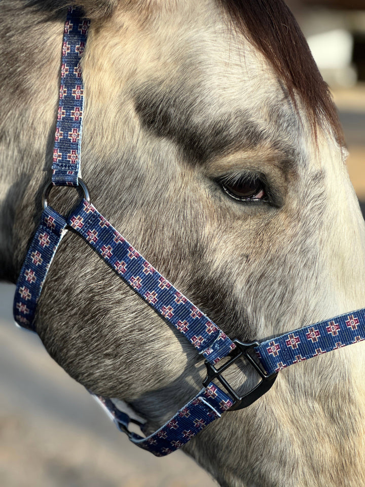 Round Up Nylon Horse Halter -Blue Neon Spur