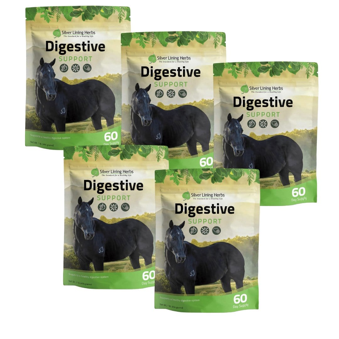 Digestive Support for Horses Silver Lining Herbs