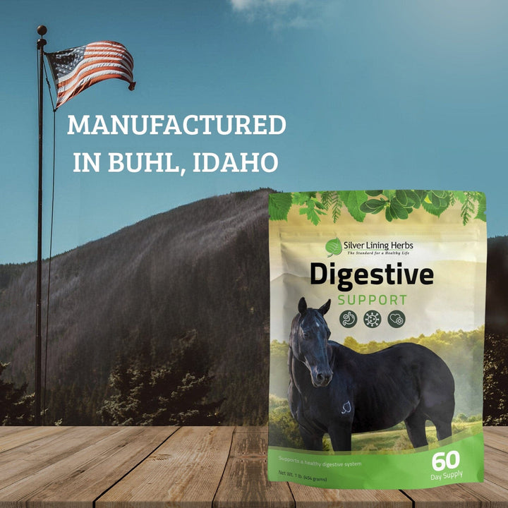 Digestive Support for Horses Silver Lining Herbs