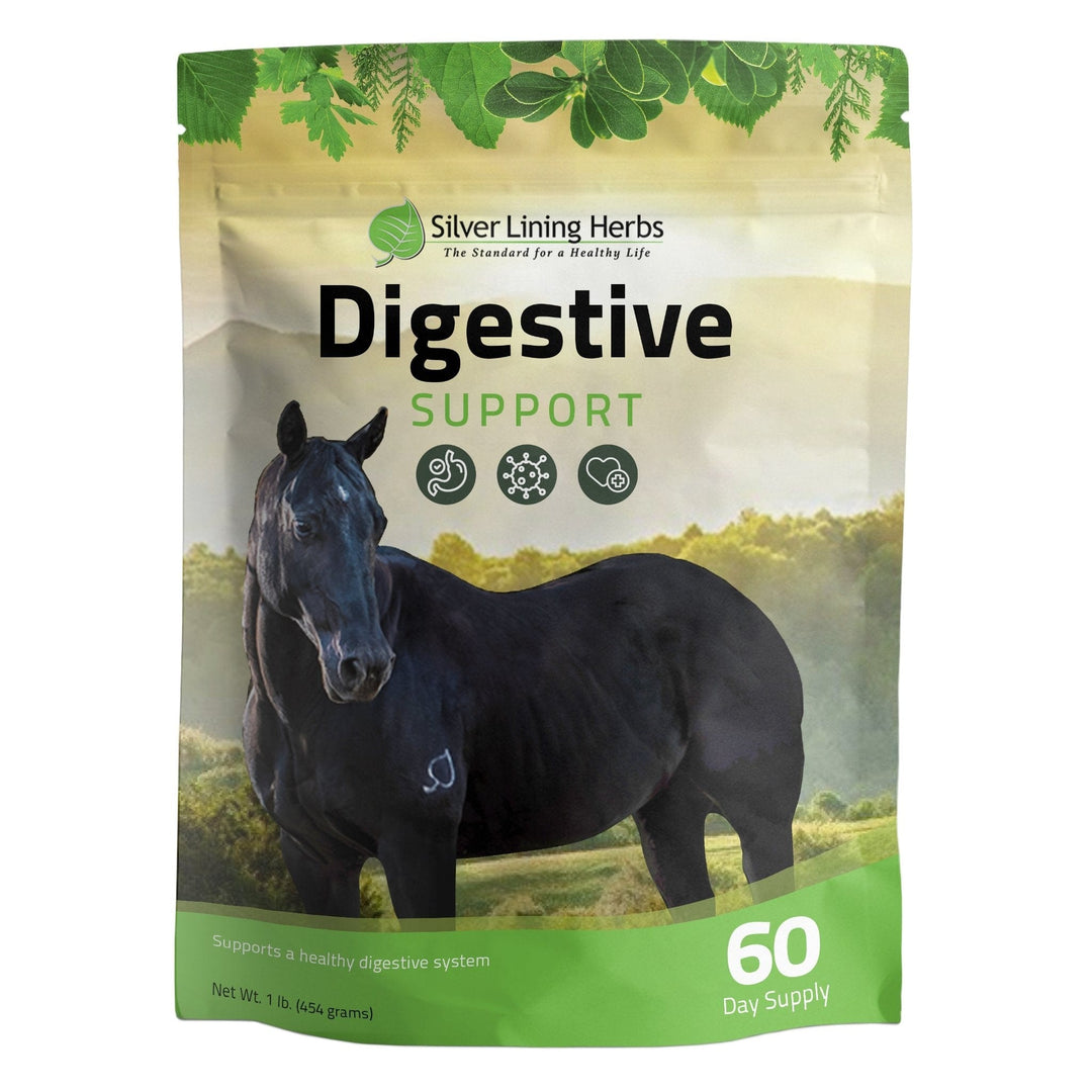 Digestive Support for Horses Silver Lining Herbs