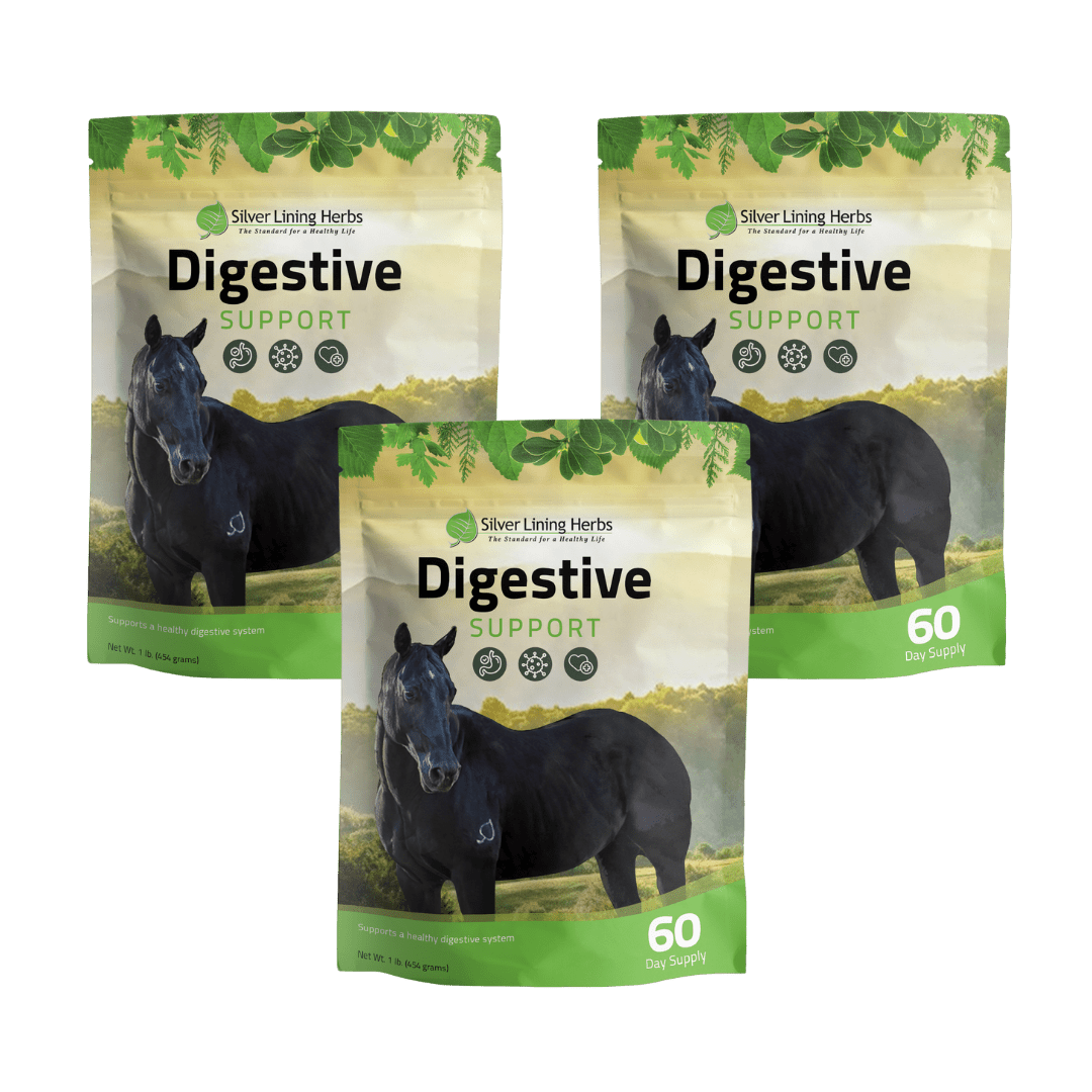 Digestive Support for Horses Silver Lining Herbs
