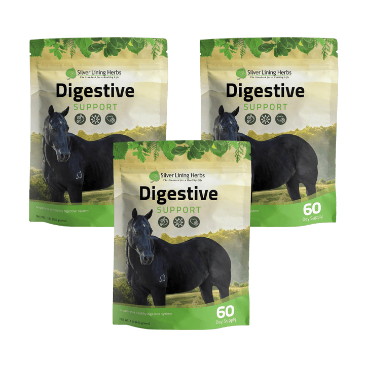Digestive Support for Horses Silver Lining Herbs