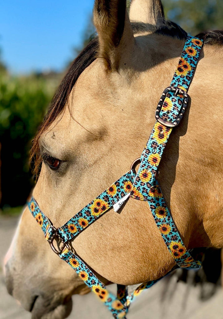 Howdy Nylon Horse Halter