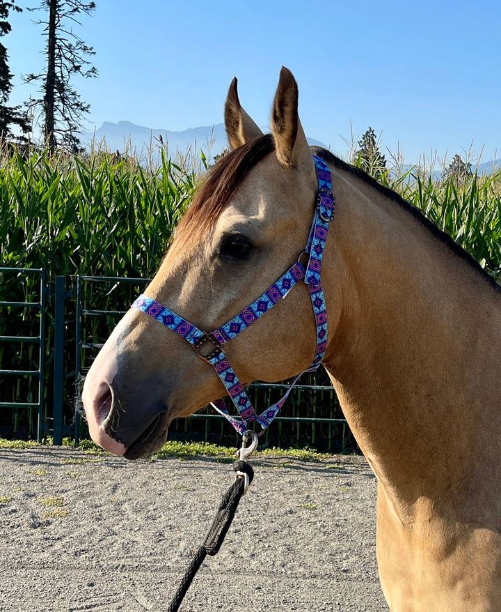 Howdy Nylon Horse Halter
