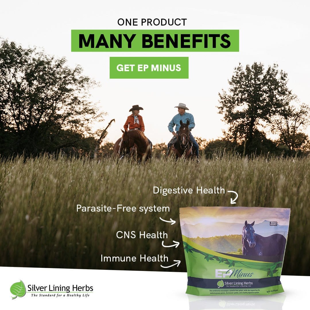 EP Minus For Horses Silver Lining Herbs