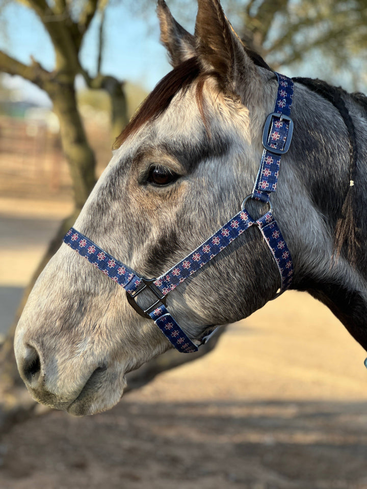 Round Up Nylon Horse Halter -Blue Neon Spur