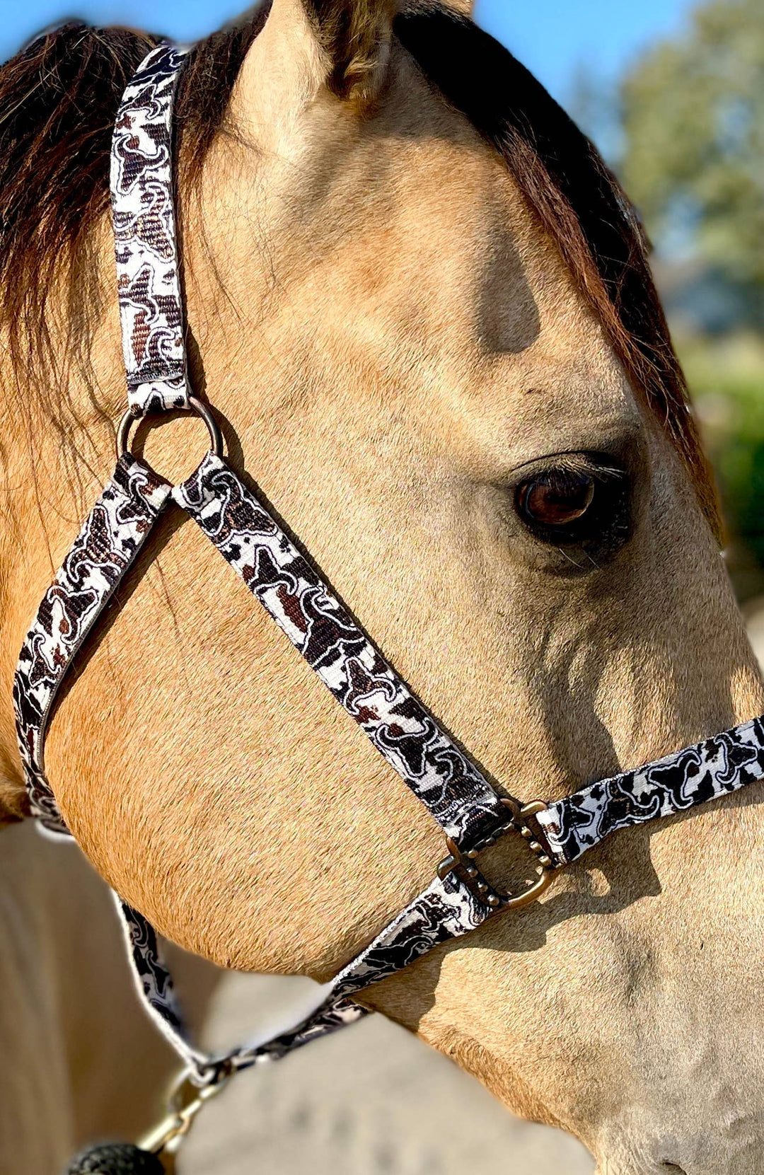 Howdy Nylon Horse Halter