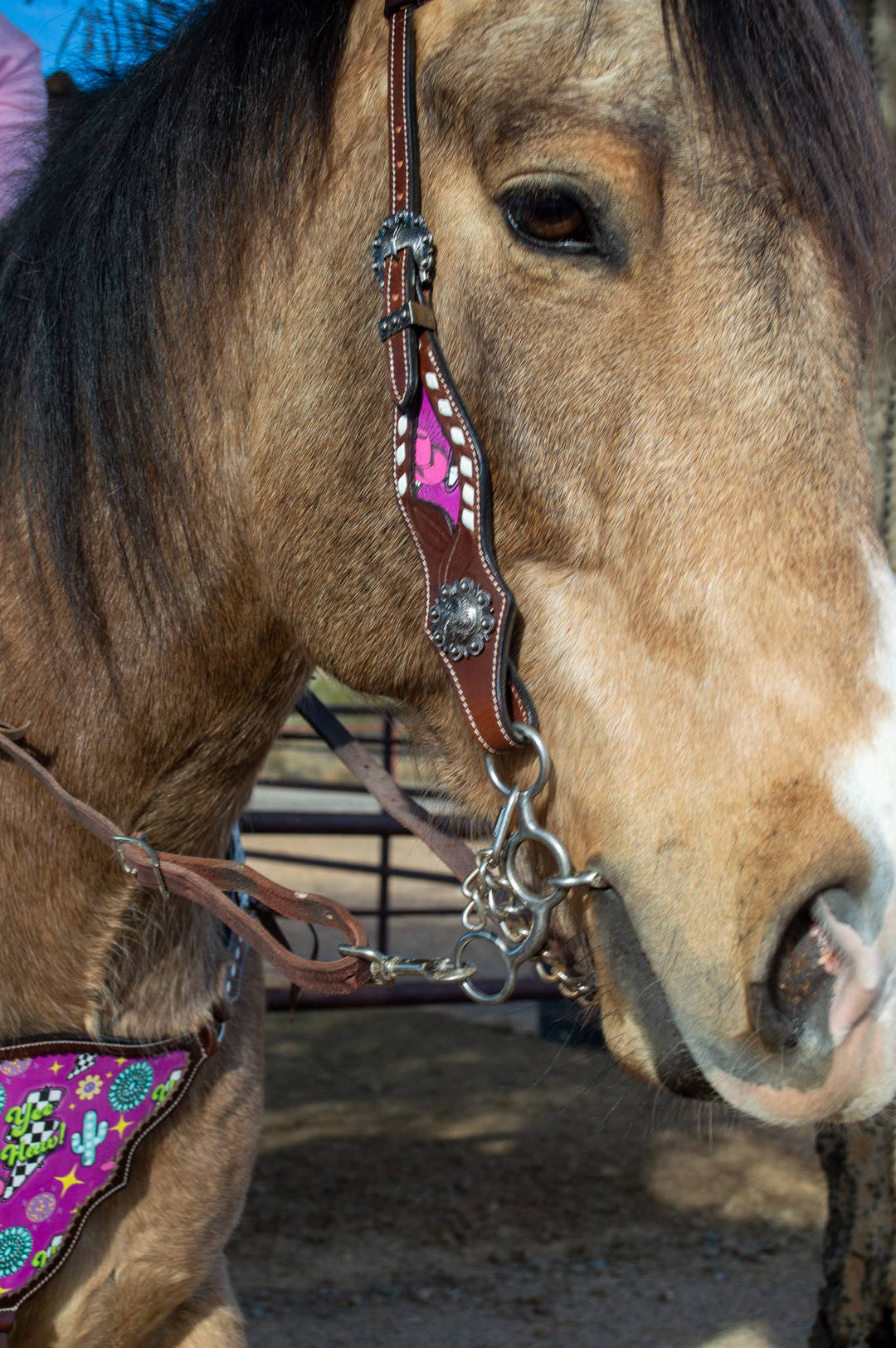 Neon Yeehaw Headstall and Breast Collar Set