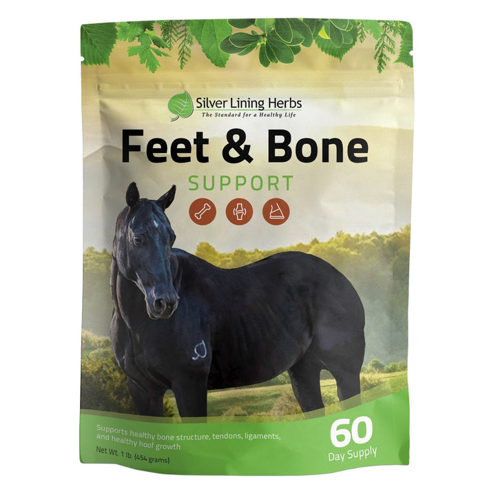 Feet & Bone Support for Horses Silver Lining Herbs