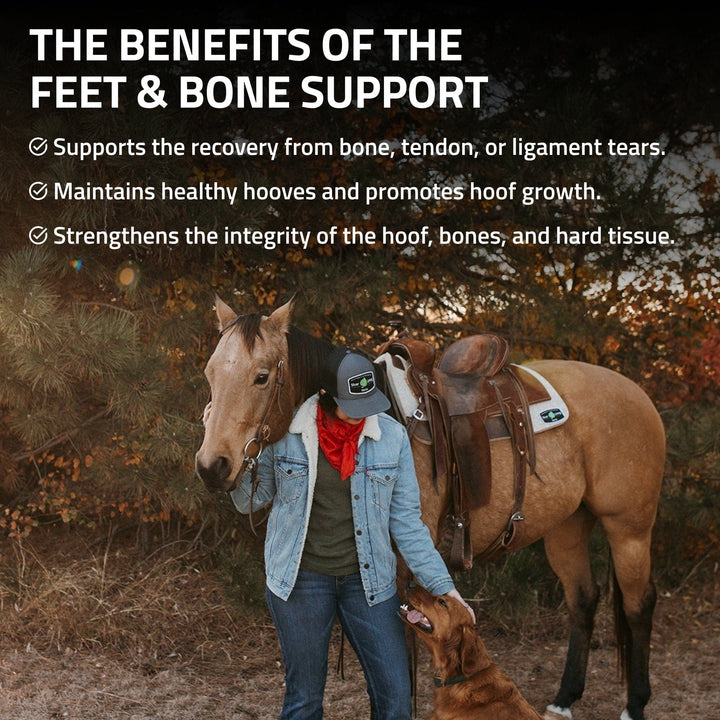Feet & Bone Support for Horses Silver Lining Herbs