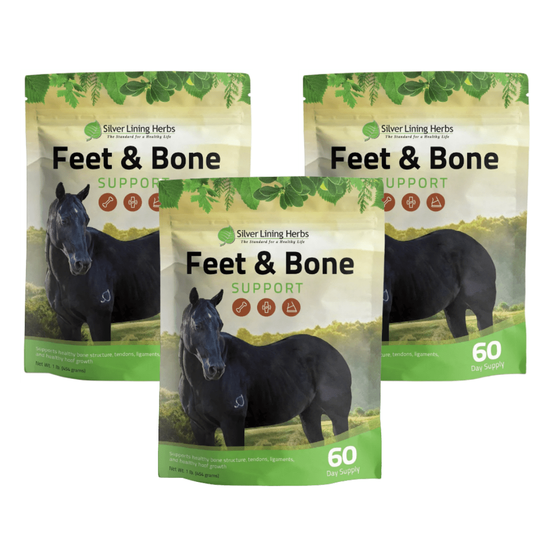 Feet & Bone Support for Horses Silver Lining Herbs