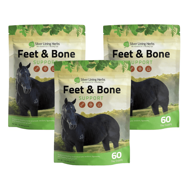 Feet & Bone Support for Horses Silver Lining Herbs