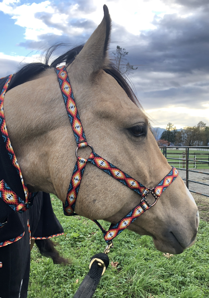 Howdy Nylon Horse Halter