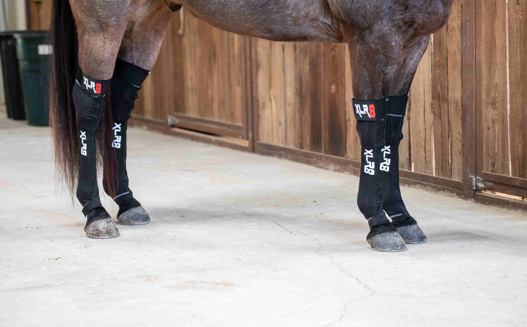 XLR8 G-Force Horse Compression Boot