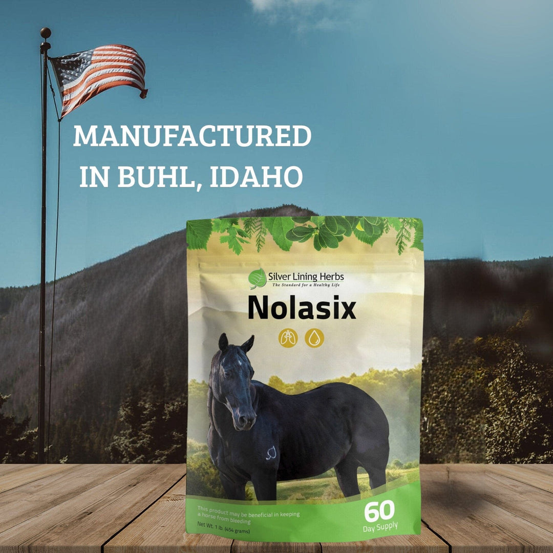 Gut Support for Horses Silver Lining Herbs