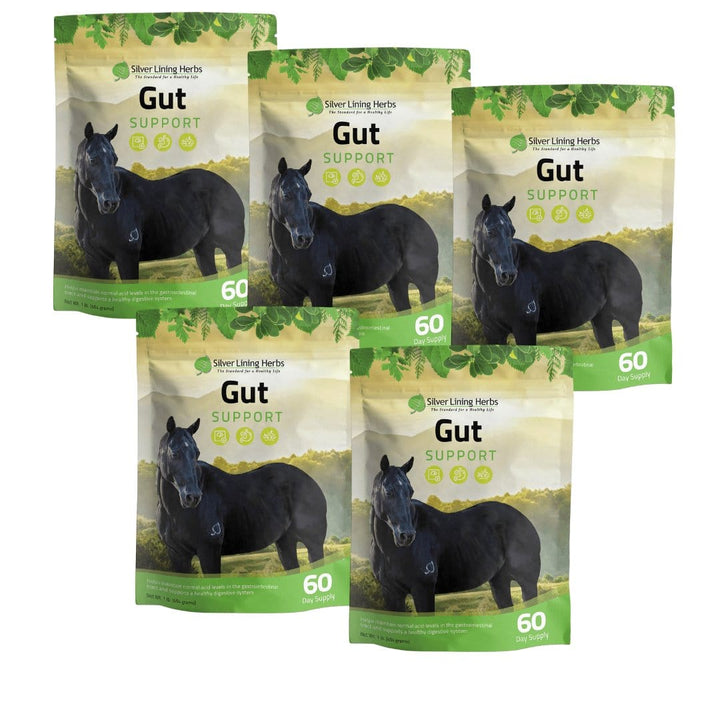 Gut Support for Horses Silver Lining Herbs