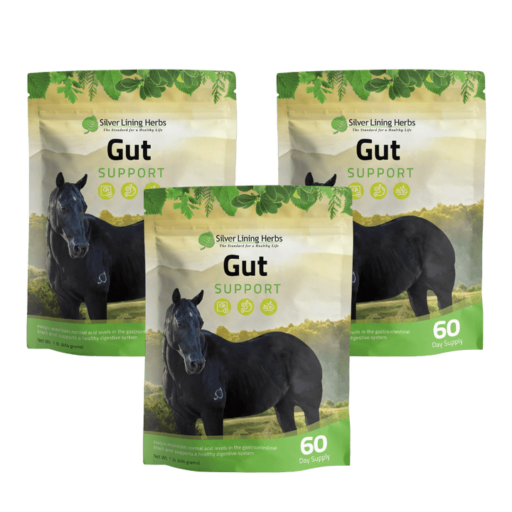 Gut Support for Horses Silver Lining Herbs