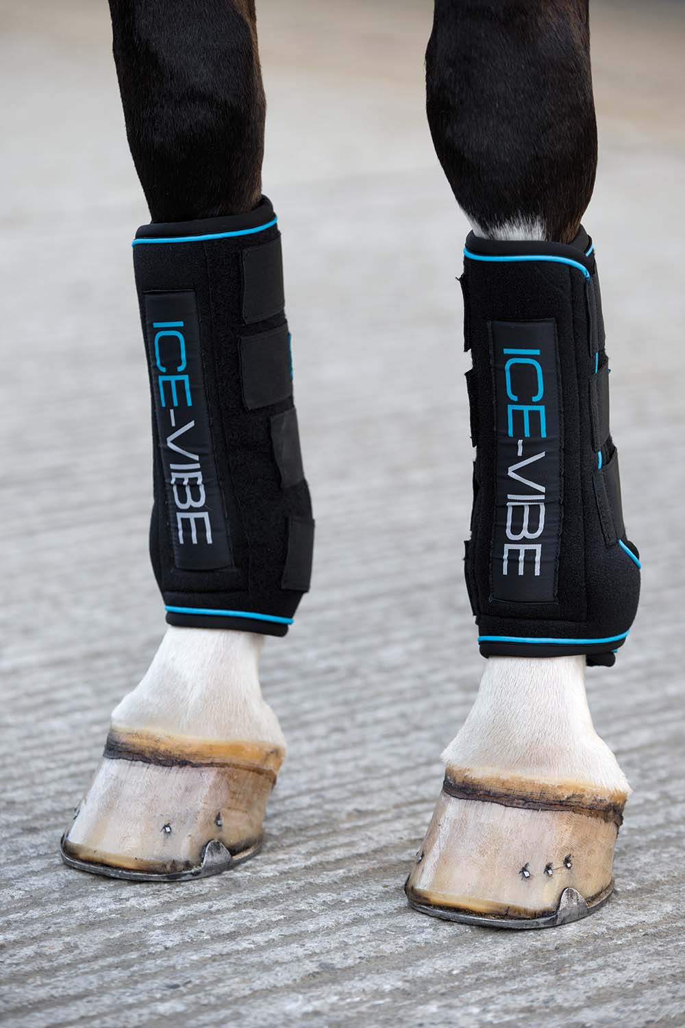 Ice Vibe Therapy Boot for Horses -2 Pack