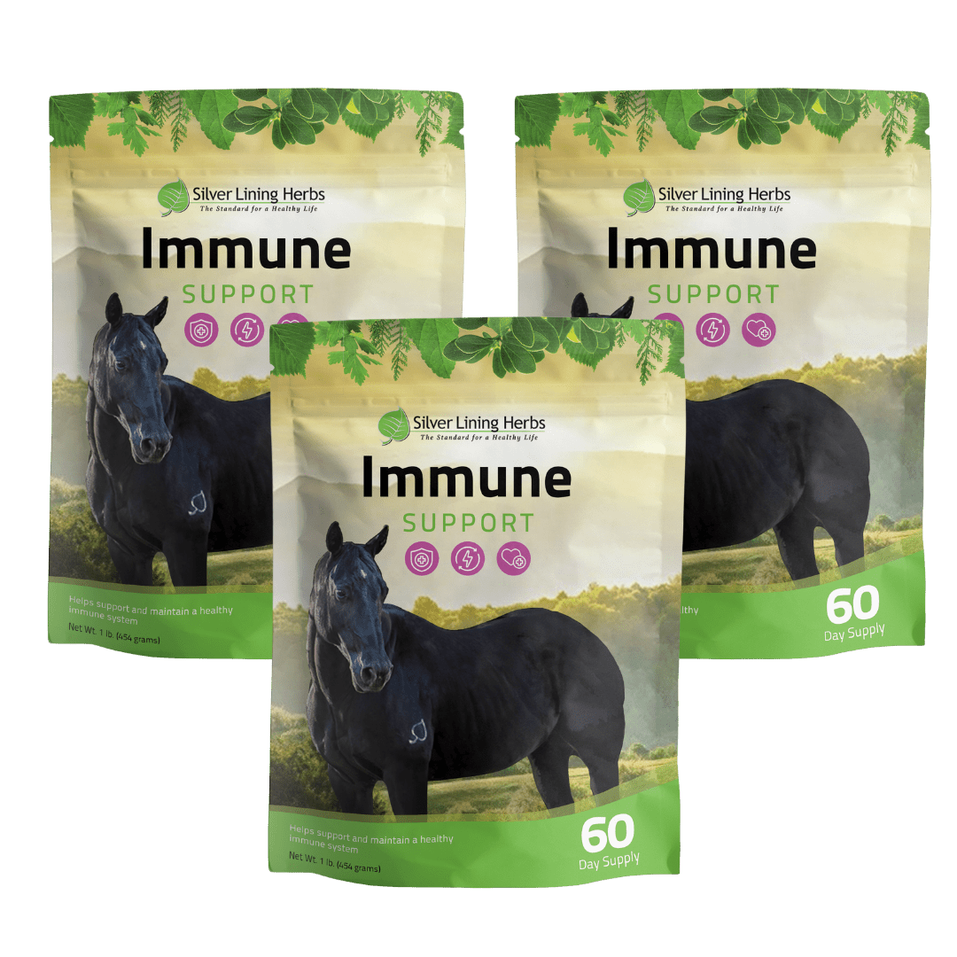 Immune Support for Horses Silver Lining Herbs