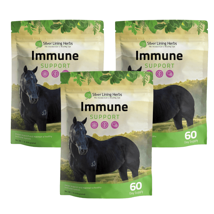 Immune Support for Horses Silver Lining Herbs