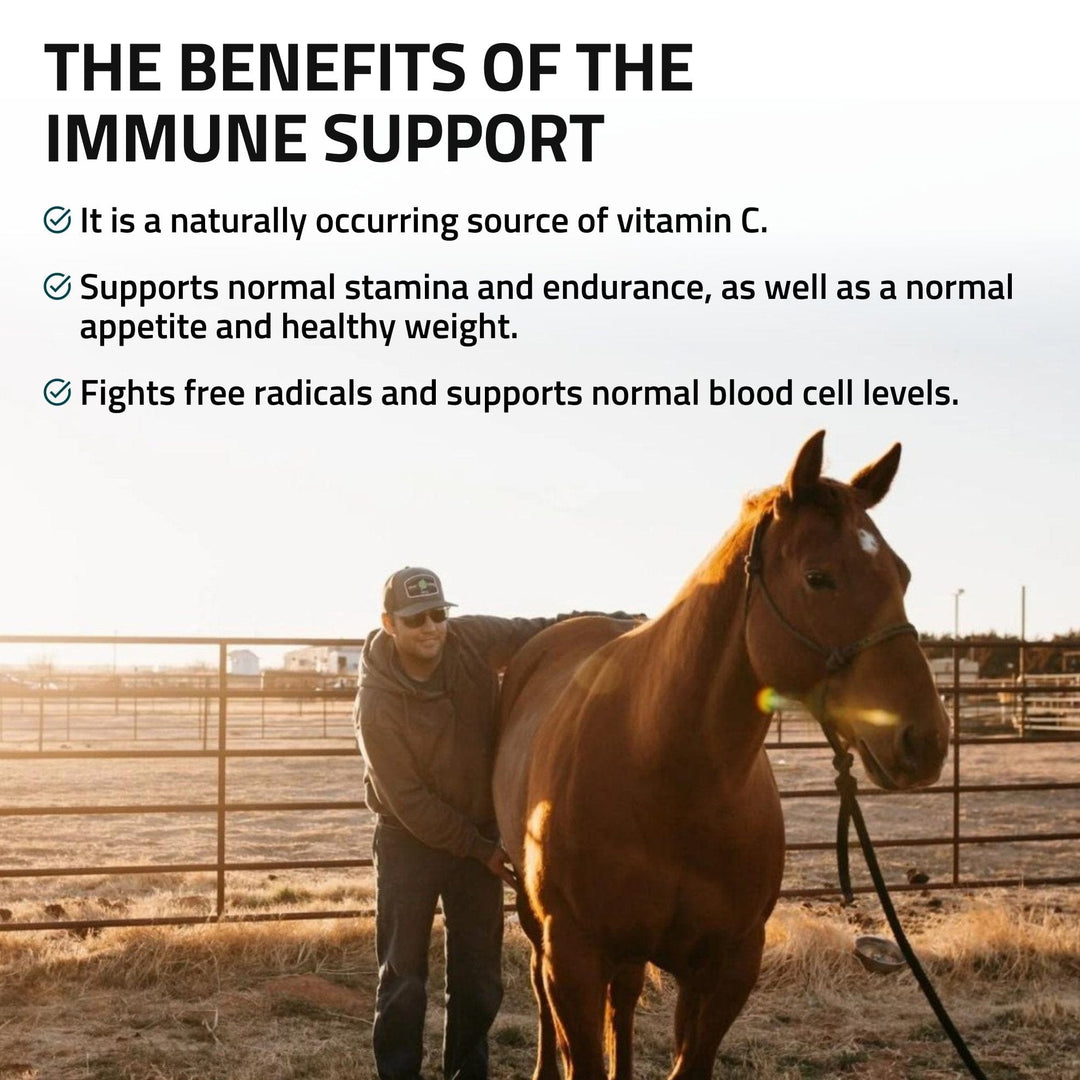 Immune Support for Horses Silver Lining Herbs