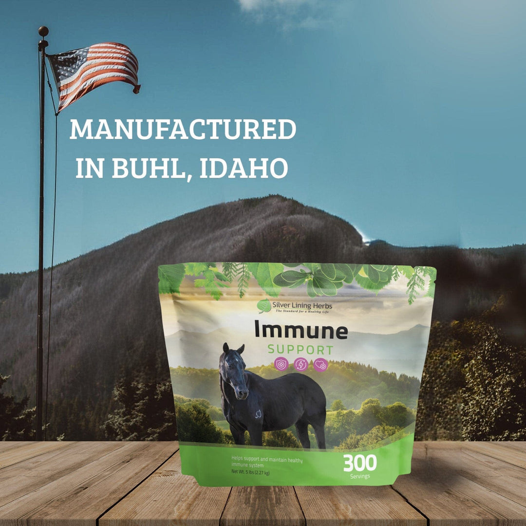 Immune Support for Horses Silver Lining Herbs