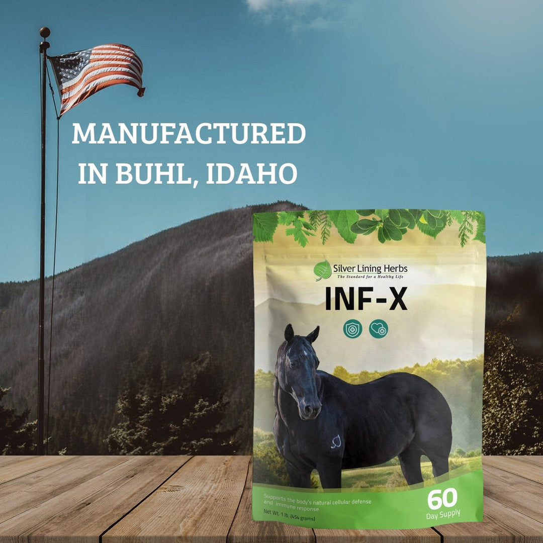 INF-X for Horses Silver Lining Herbs