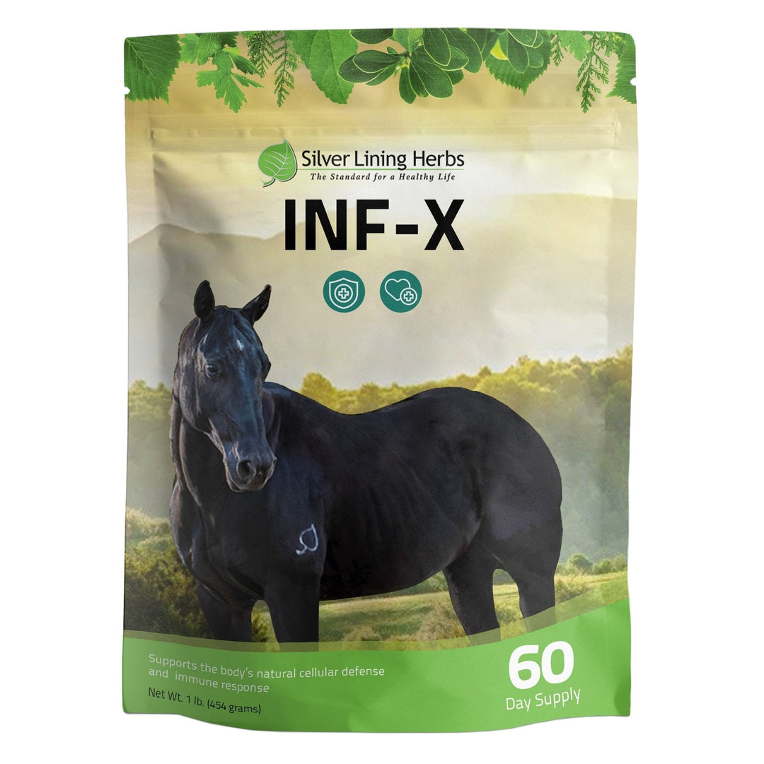 INF-X for Horses Silver Lining Herbs