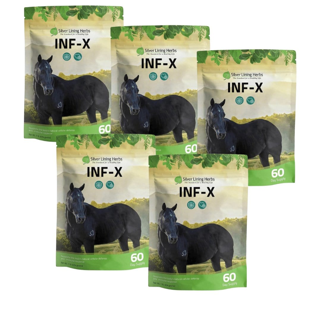 INF-X for Horses Silver Lining Herbs