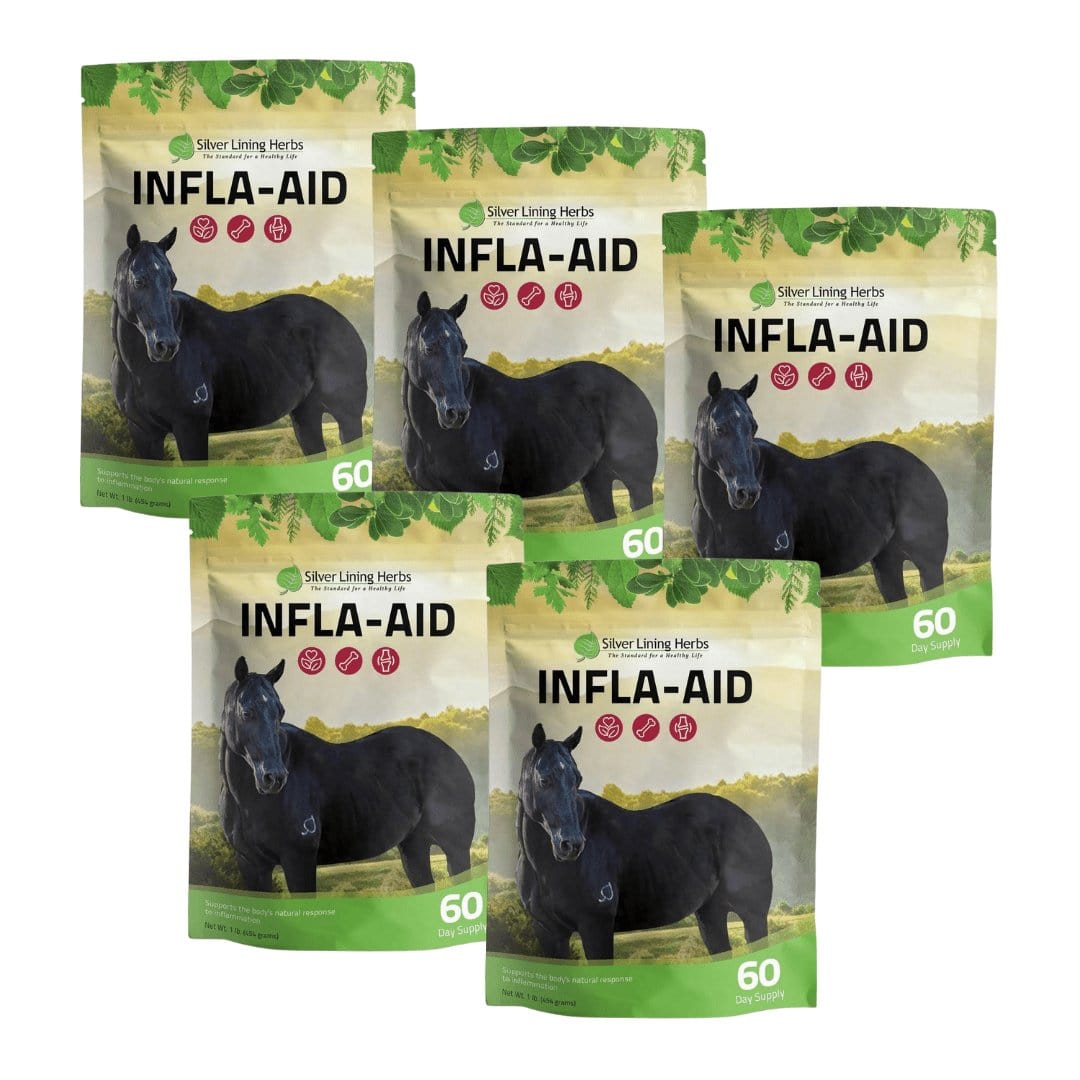 Infla-aid for Horses Silver Lining Herbs