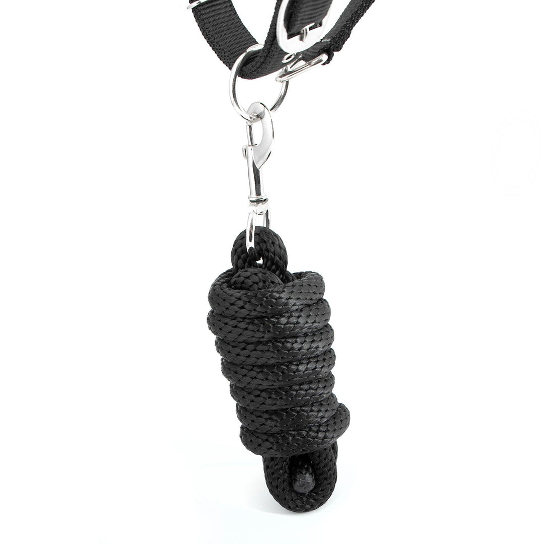 Jeffers Matching Horse Halter & Lead Rope 2 Piece Set, Full Size