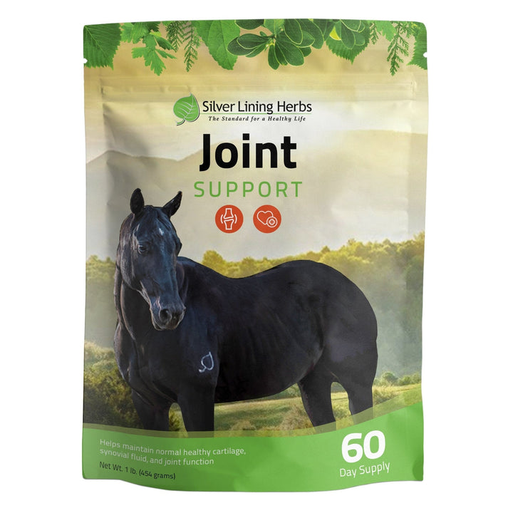 Joint Support for Horses Silver Lining Herbs