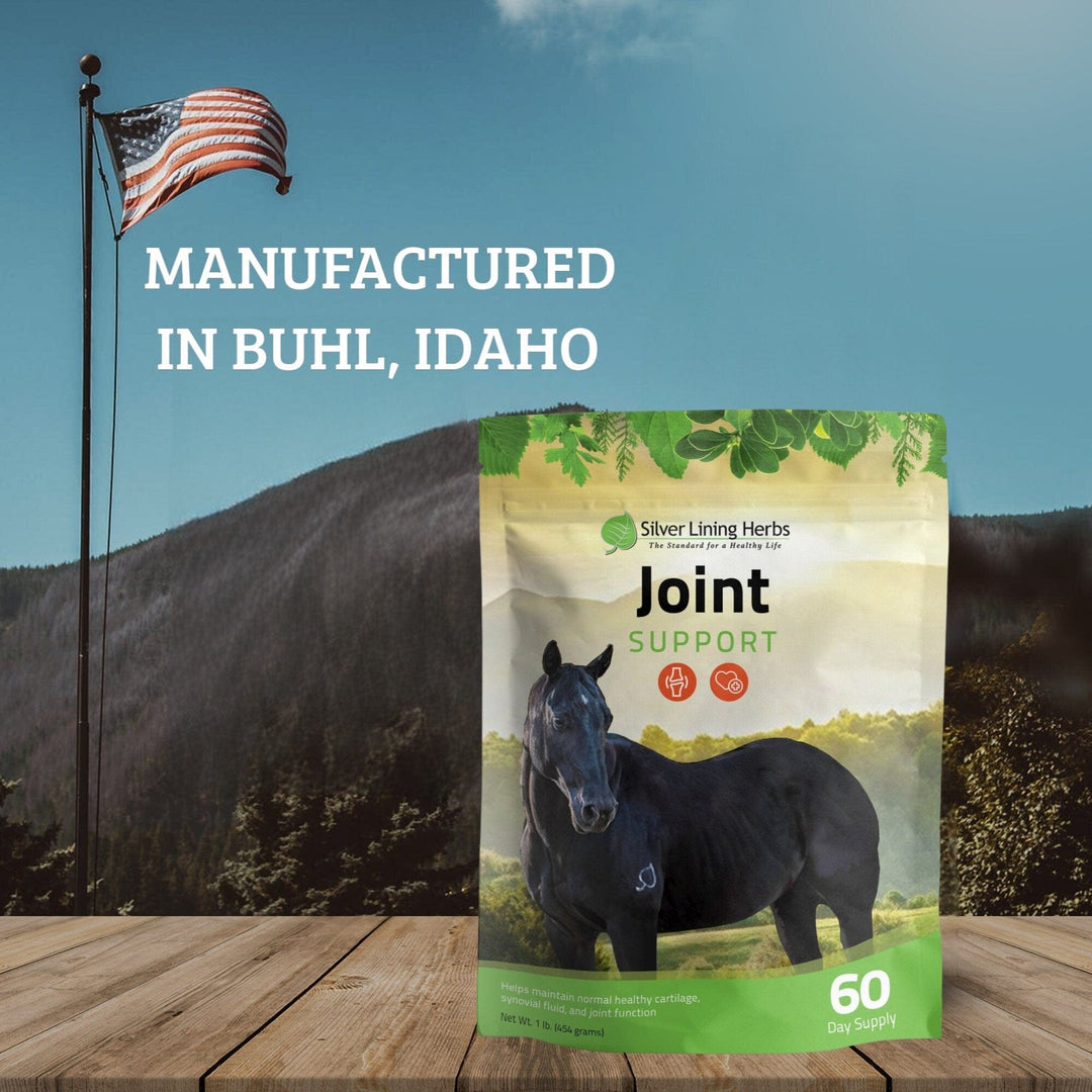 Joint Support for Horses Silver Lining Herbs