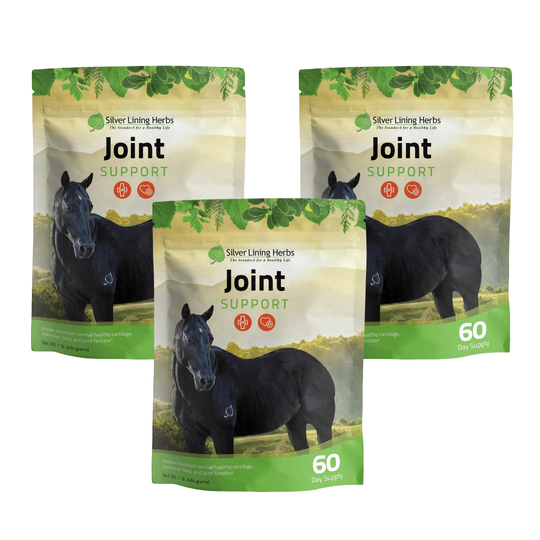 Joint Support for Horses Silver Lining Herbs