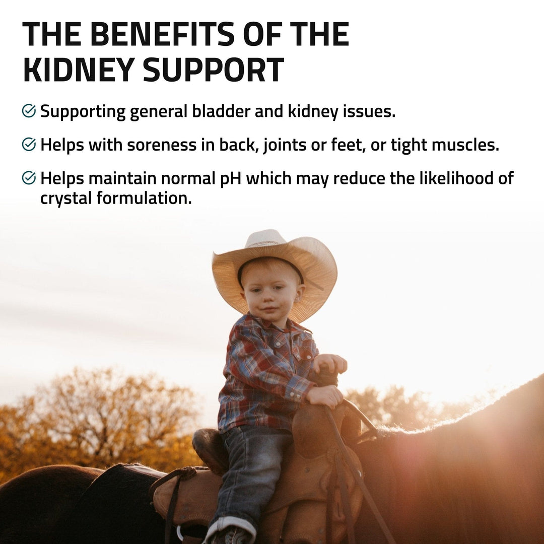 Kidney Support for Horses Silver Lining Herbs