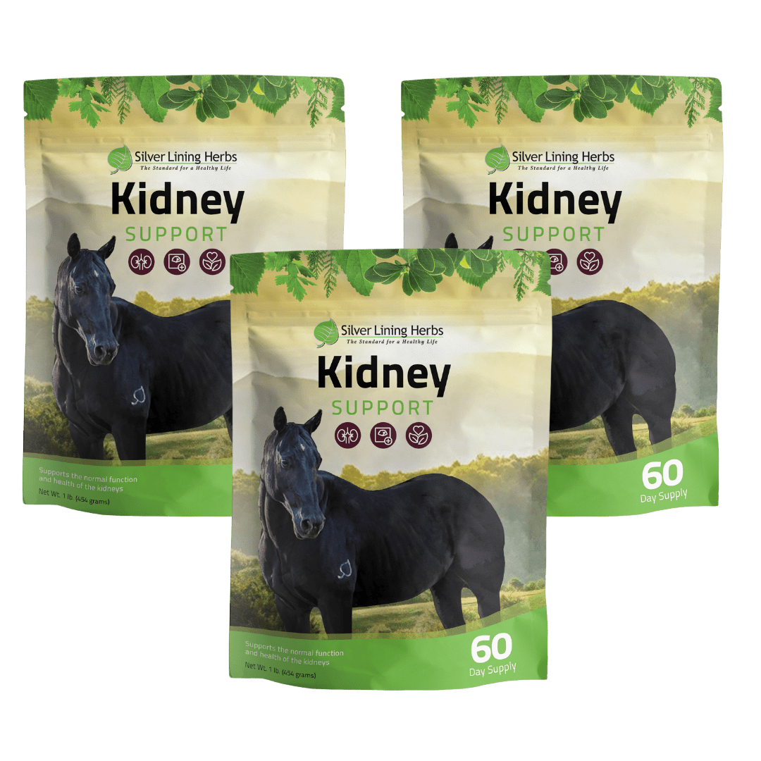 Kidney Support for Horses Silver Lining Herbs
