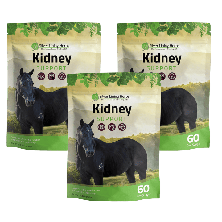 Kidney Support for Horses Silver Lining Herbs