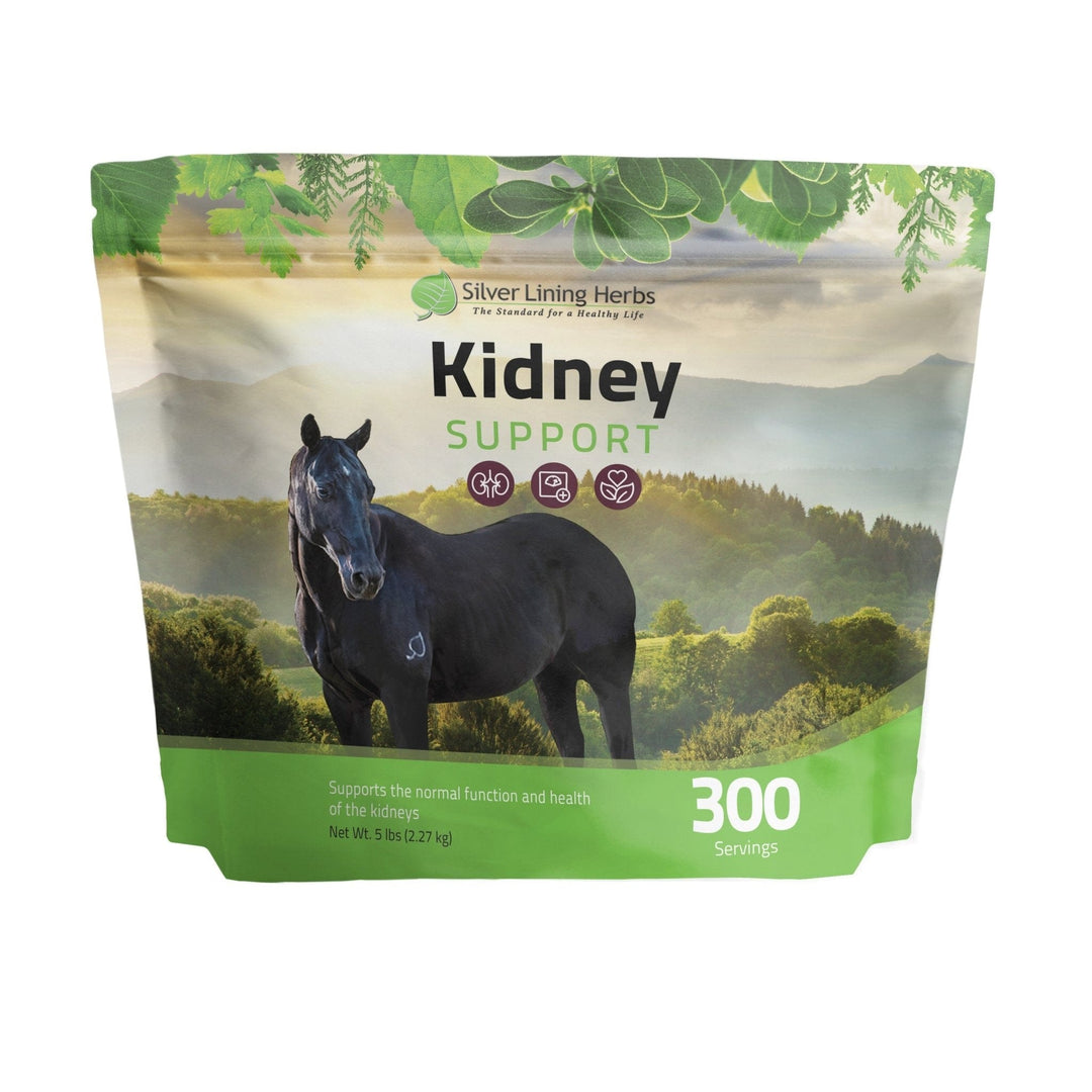 Kidney Support for Horses Silver Lining Herbs
