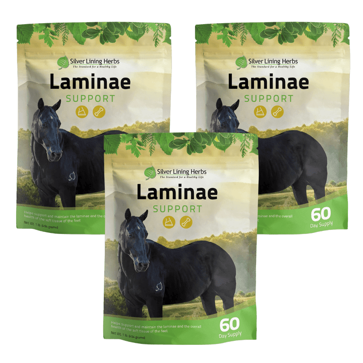 Laminae Support for Horses Silver Lining Herbs