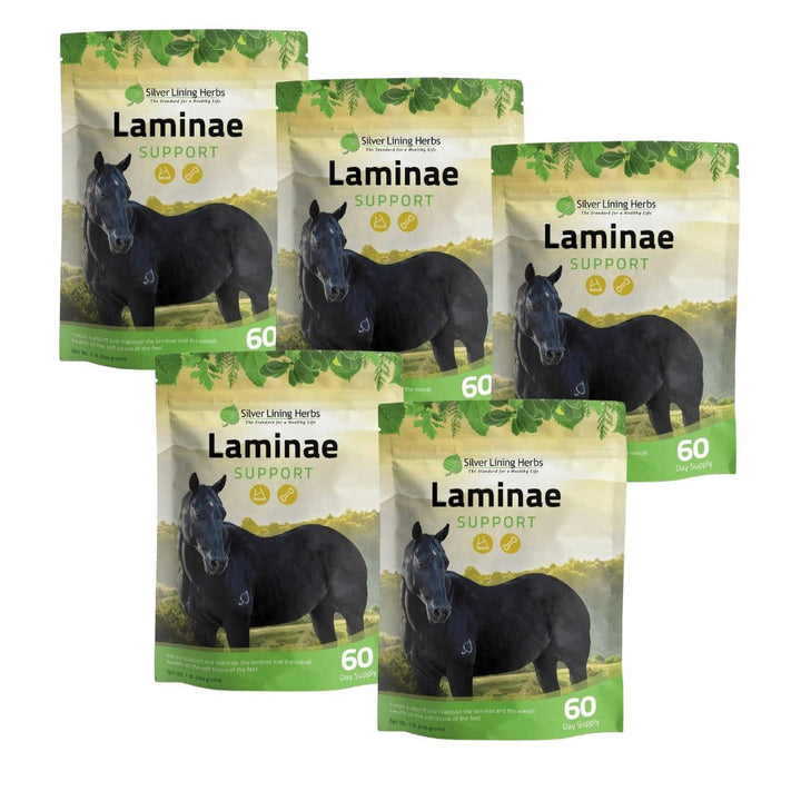 Laminae Support for Horses Silver Lining Herbs
