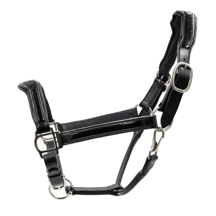 Patent Leather Halter Grewal Equestrian
