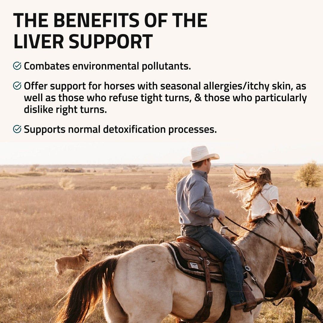 Liver Support for Horses Silver Lining Herbs