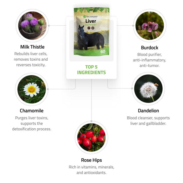 Liver Support for Horses Silver Lining Herbs