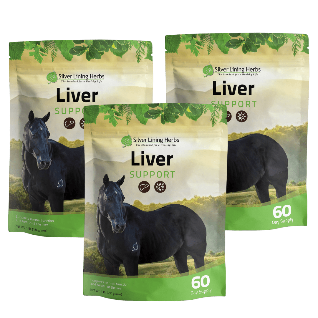 Liver Support for Horses Silver Lining Herbs